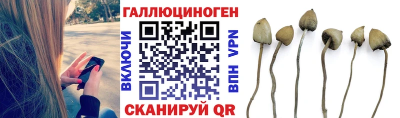 Псилоцибиновые грибы прущие грибы  Купить закладки  Искитим 